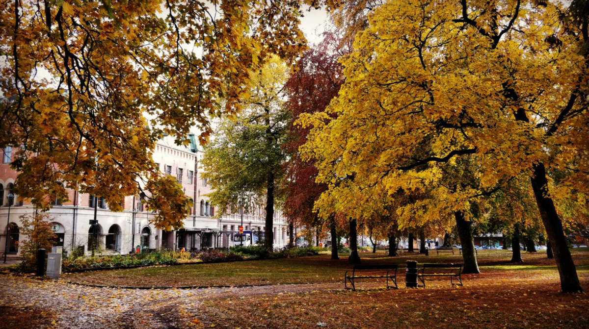 f:id:HokuoGameCat:20191020041856p:plain