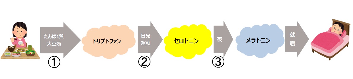 f:id:HoloHolo:20190708183512j:plain