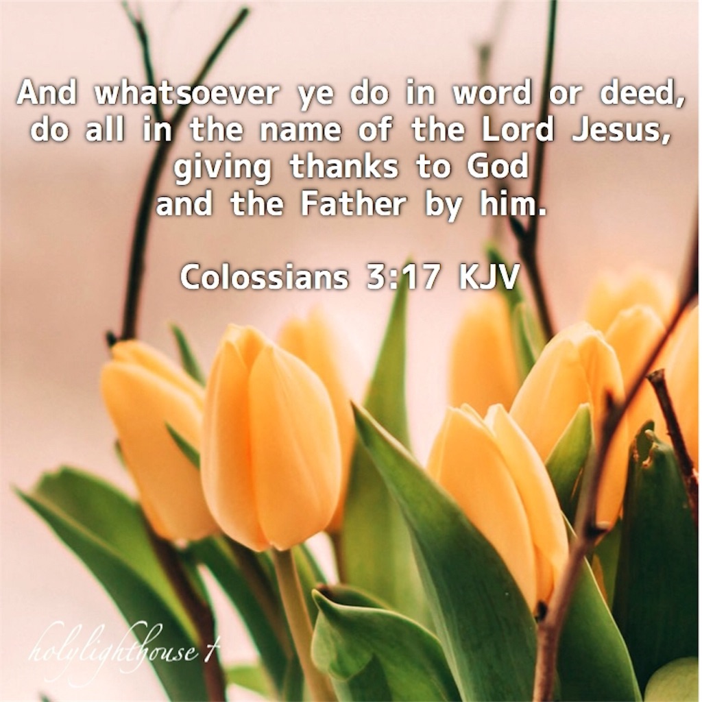 f:id:Holy_lighthouse:20190621144935j:image f:id:Holy_lighthouse:20190621144935j:image