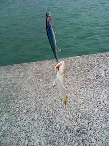 20140525064549