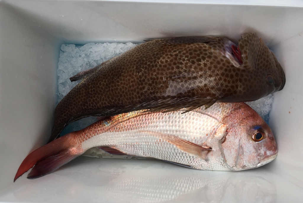 f:id:HomeBrewStudio:20161008103510j:plain