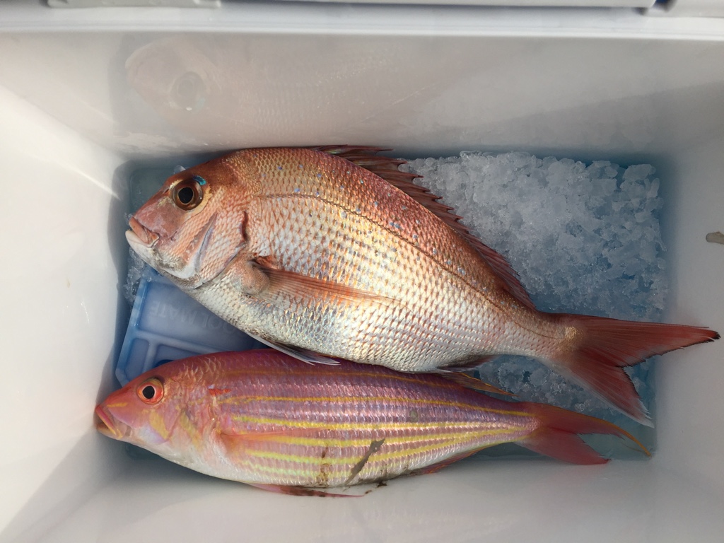 f:id:HomeBrewStudio:20161112140658j:plain