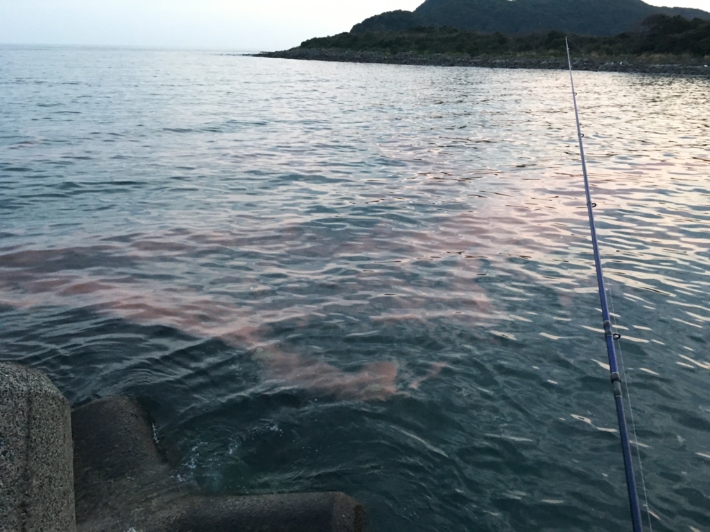 f:id:HomeBrewStudio:20180314183217j:plain