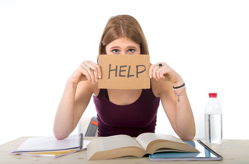 Homework Help Online Advantageous For College Students Homework Company S