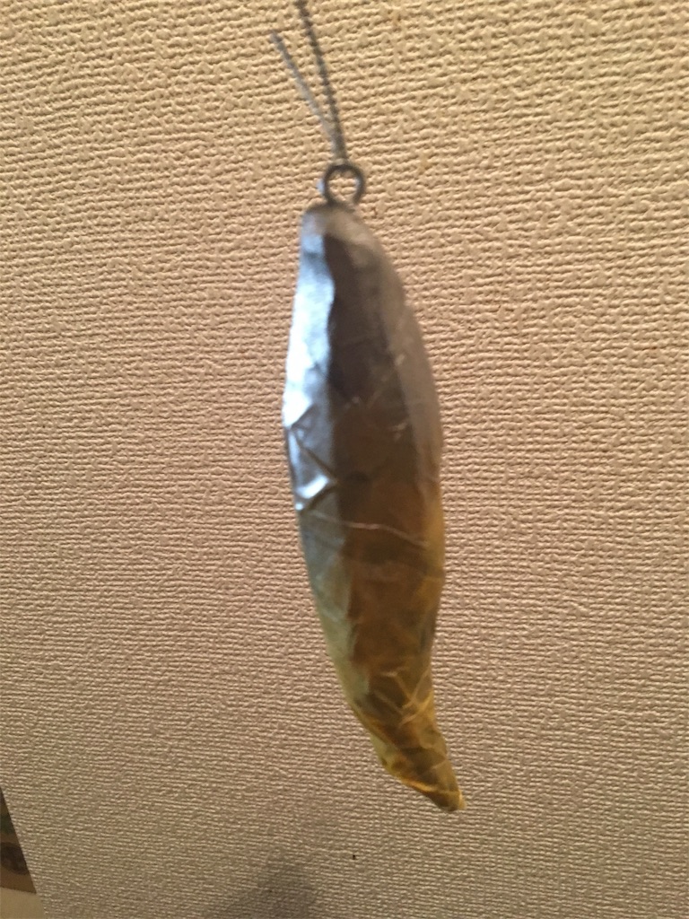 f:id:Hondasolo:20190323170540j:image f:id:Hondasolo:20190323170540j:image