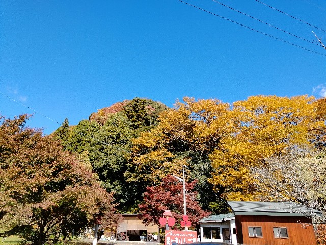 f:id:Honeroku:20211109220931j:image