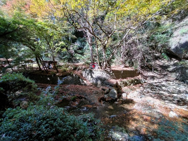 f:id:Honeroku:20211109222539j:image