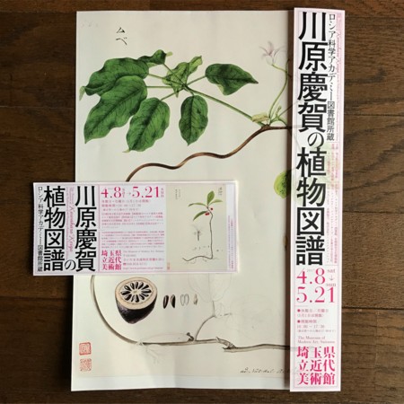20170517165924