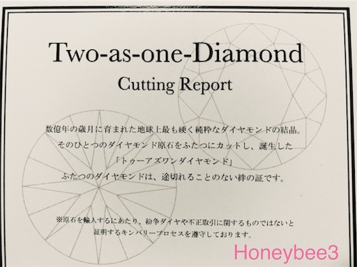 f:id:Honeybee3:20190929103913j:image