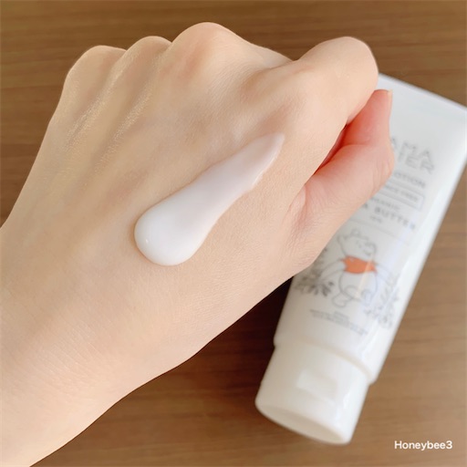 f:id:Honeybee3:20210421202309j:image