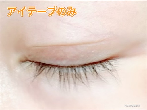 f:id:Honeybee3:20211103142452j:image