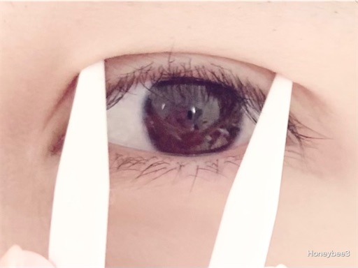 f:id:Honeybee3:20211103142629j:image