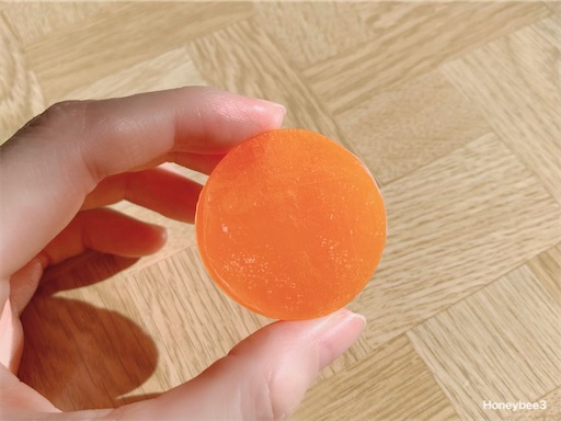 f:id:Honeybee3:20211117100031j:image