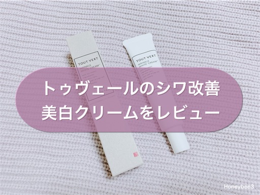 f:id:Honeybee3:20220227110844j:image