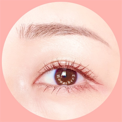 f:id:Honeybee3:20220308080710j:image