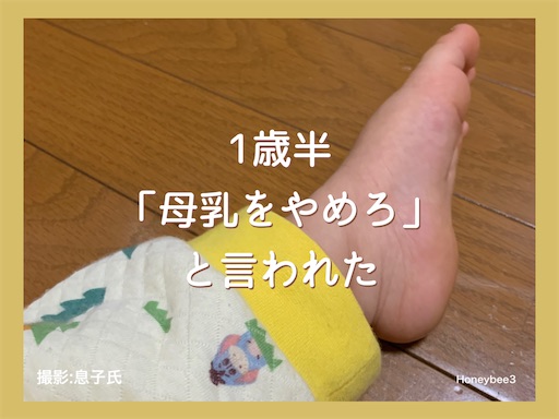 一歳半　検診　健診　母乳育児