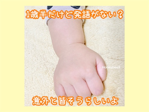 f:id:Honeybee3:20230126185252j:image