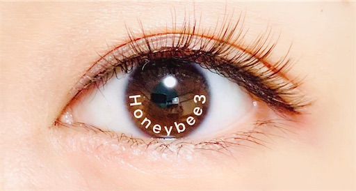 f:id:Honeybee3:20231007185714j:image f:id:Honeybee3:20231007185714j:image