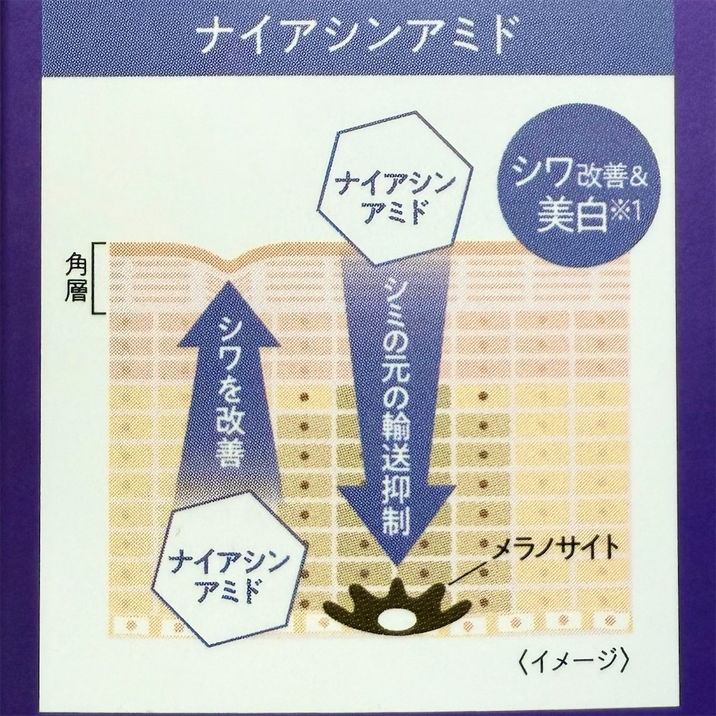 f:id:Honeybee3:20250502201242j:image