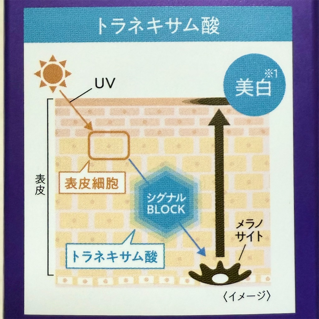 f:id:Honeybee3:20250502201259j:image