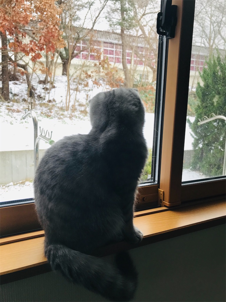 f:id:Honeychang:20191230205610j:image f:id:Honeychang:20191230205610j:image