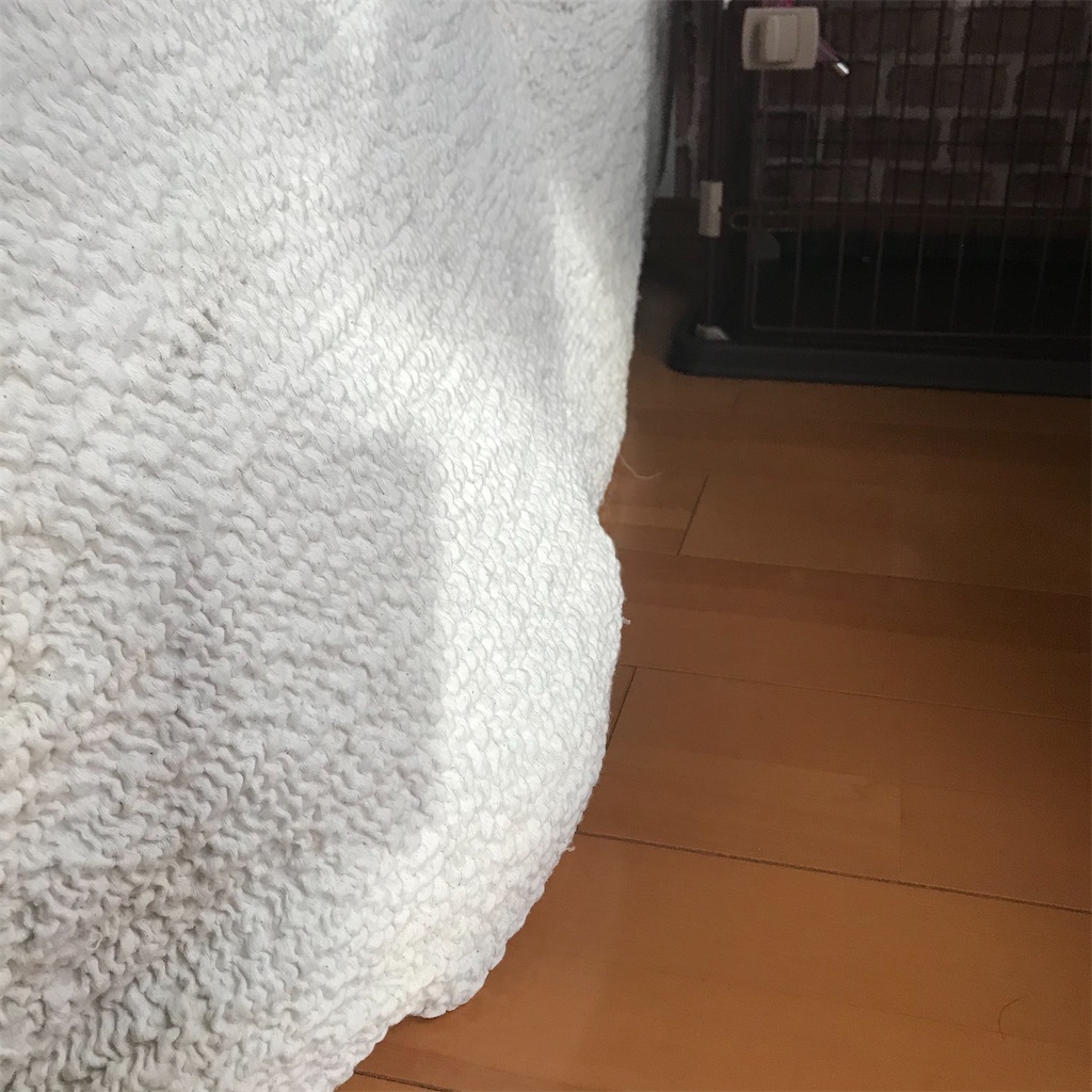 f:id:Honeychang:20191230210335j:image f:id:Honeychang:20191230210335j:image