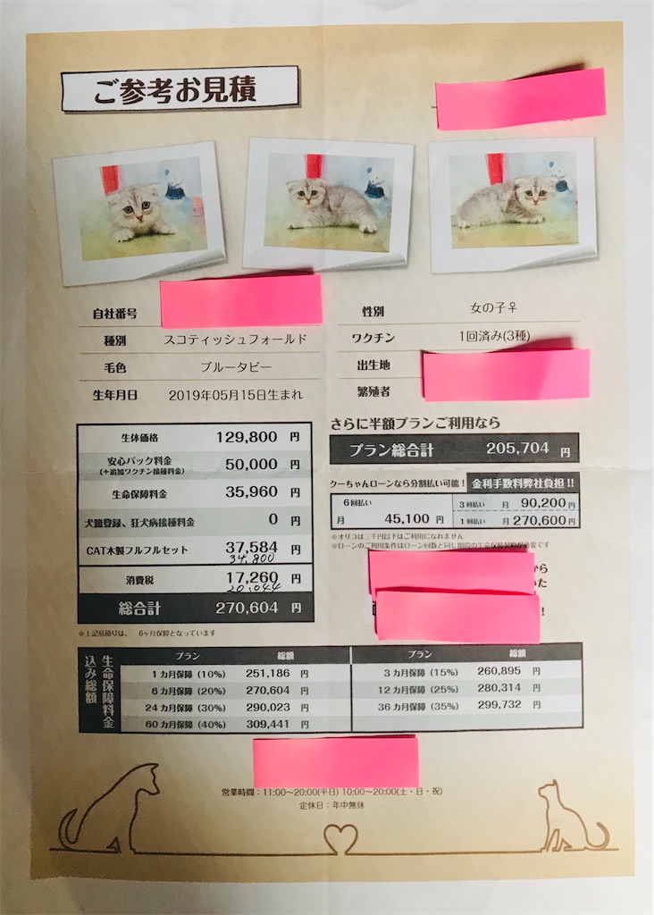 f:id:Honeychang:20200201163622j:image f:id:Honeychang:20200201163622j:image