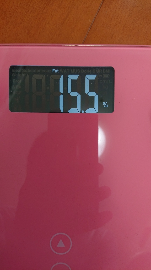 f:id:Hongo-Haruto:20190202141423j:plain f:id:Hongo-Haruto:20190202141423j:plain