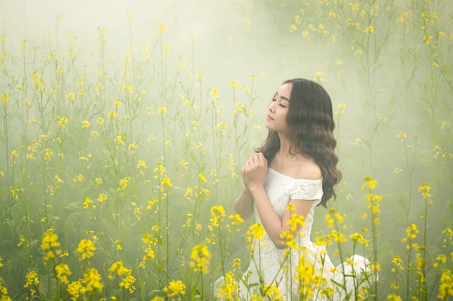 f:id:HonoBono:20190808002017j:plain f:id:HonoBono:20190808002017j:plain