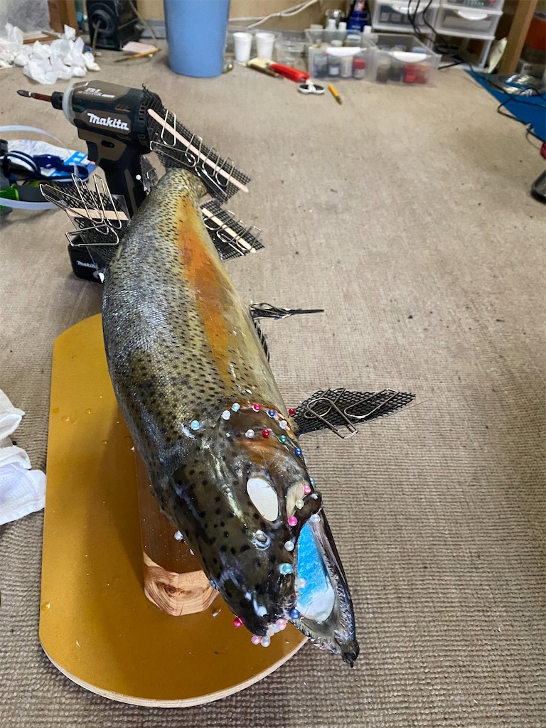 虹鱒剥製(^^) - Hoozuki's blog