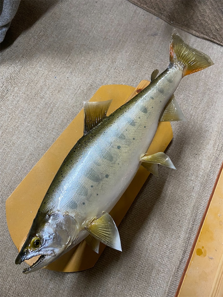 やまーめ(*^^)v - Hoozuki's blog