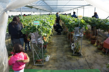 2012 01 07