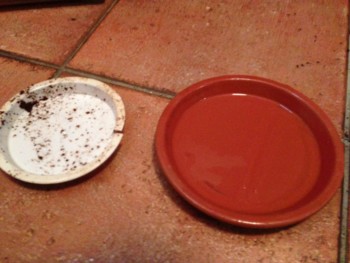 f:id:Horka:20130616162146j:image f:id:Horka:20130616162146j:image