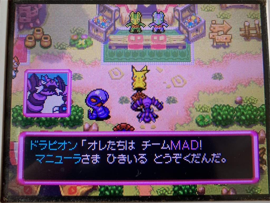 f:id:Hortensia_Violet:20191027200840j:image