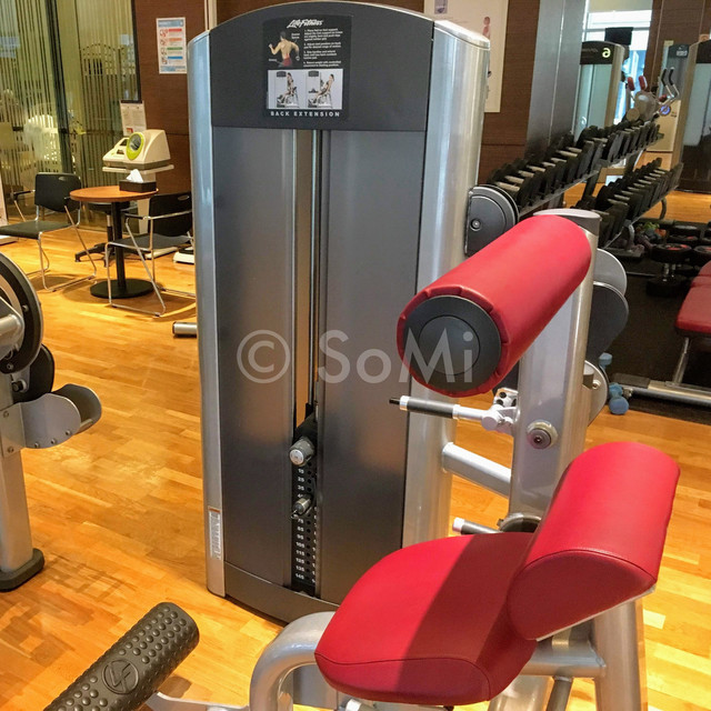 Back extension machine in Stanford Hotel Seoul