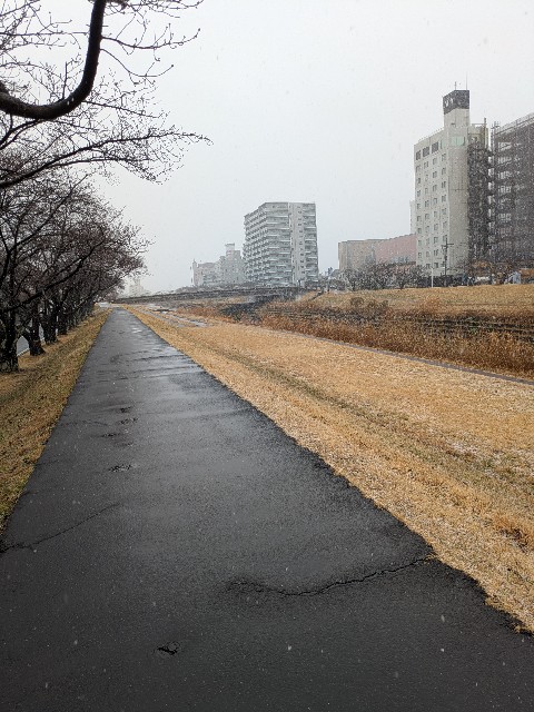 f:id:Howunhappy_Abel:20250303200506j:image