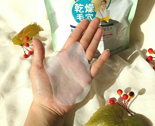 f:id:Hu-Ga:20181107122657j:image