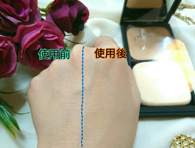 f:id:Hu-Ga:20190130210008j:image