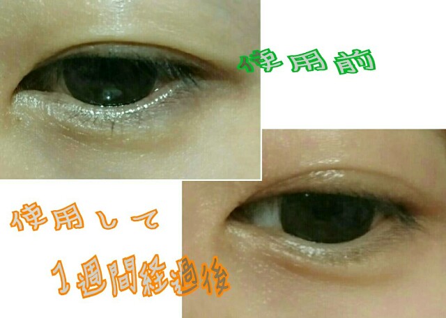 f:id:Hu-Ga:20190214134141j:image