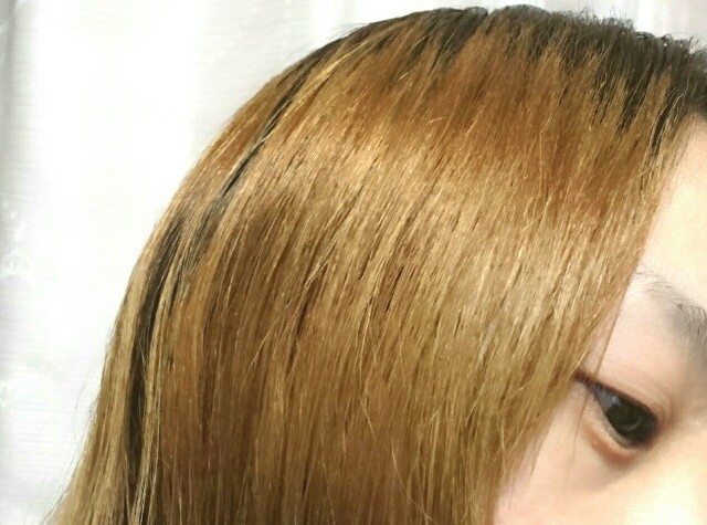 f:id:Hu-Ga:20190223210129j:image f:id:Hu-Ga:20190223210129j:image