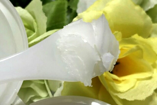 f:id:Hu-Ga:20190304065731j:image