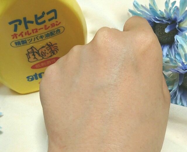 f:id:Hu-Ga:20190425095954j:image
