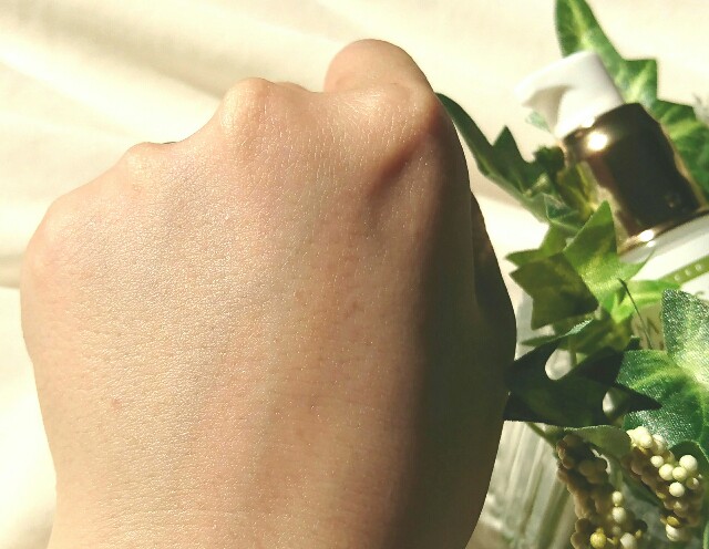 f:id:Hu-Ga:20190523163422j:image
