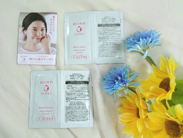 f:id:Hu-Ga:20190708211528j:image