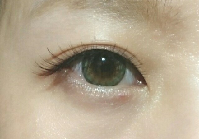 f:id:Hu-Ga:20191020145517j:image