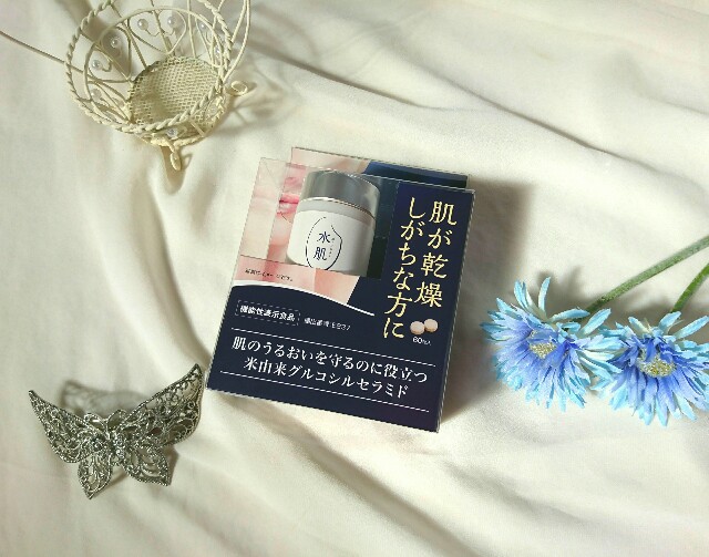 f:id:Hu-Ga:20200607131055j:image