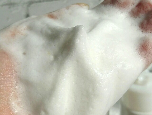 f:id:Hu-Ga:20201025161333j:image