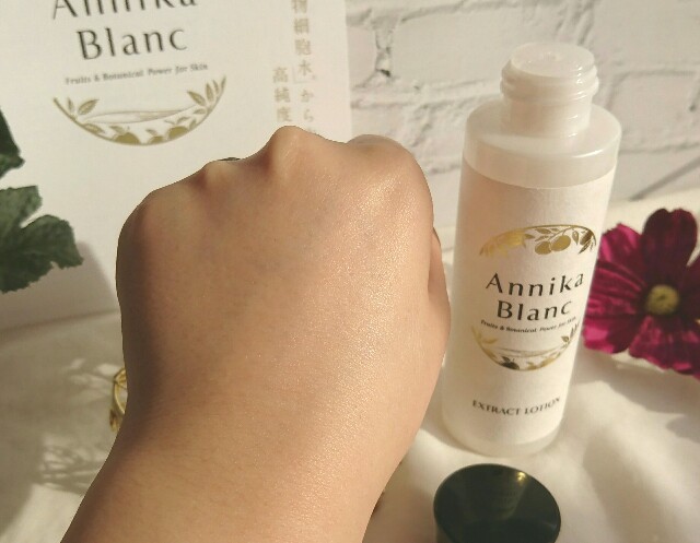 f:id:Hu-Ga:20201101143143j:image