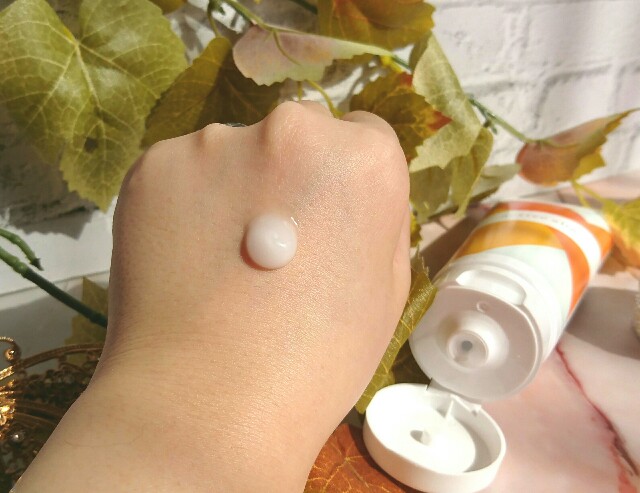 f:id:Hu-Ga:20201120204023j:image