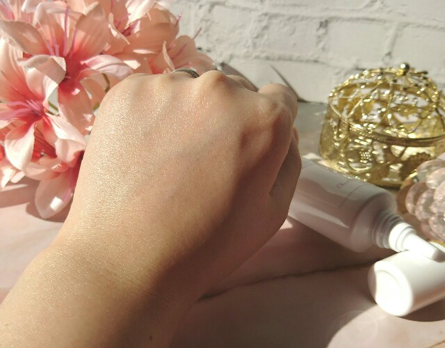 f:id:Hu-Ga:20201209142410j:image